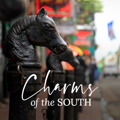 Charms of the                                                      South